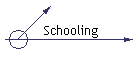 Schooling